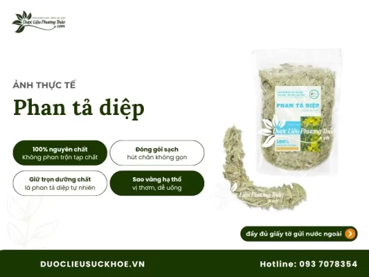 Ảnh thực tế phan tả diệp