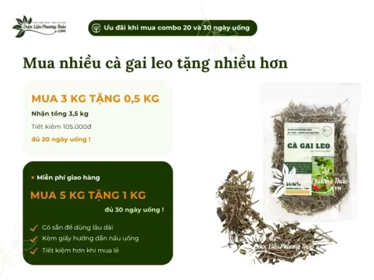 Chương trình khuyến mãi cà gai leo
