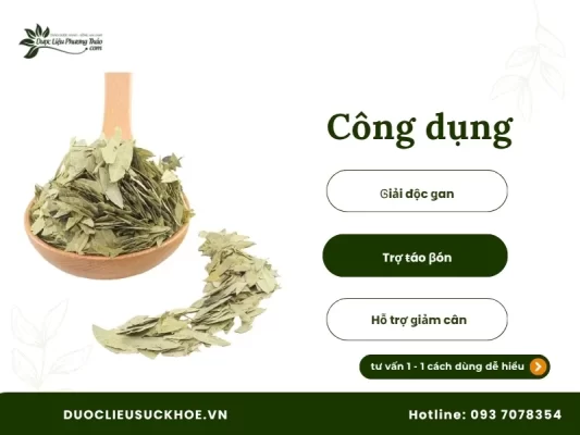 Công dụng của phan tả diệp