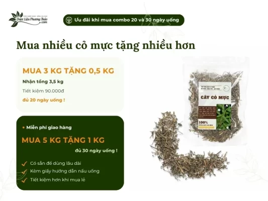 Chương trình khuyến mãi cây cỏ mực