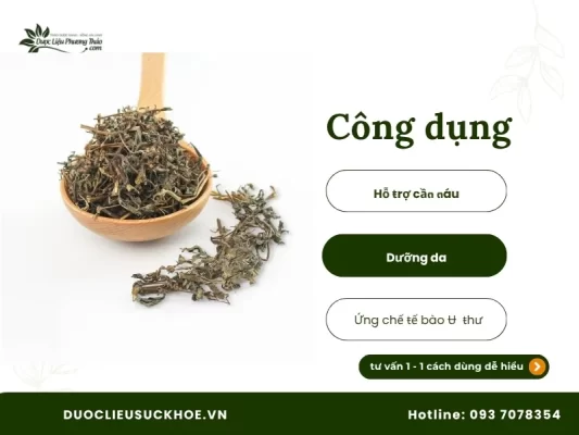 Công dụng cây cỏ mực