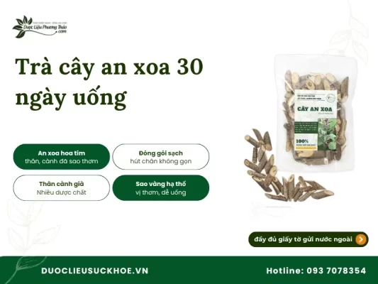 Ảnh cây an xoa 30 ngày uống