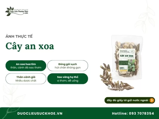 Ảnh cây an xoa