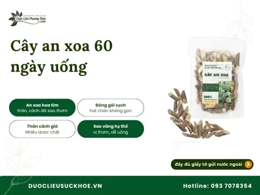 Ảnh cây an xoa 60 ngày uống