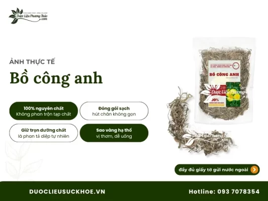 Ảnh thực tế bồ công anh