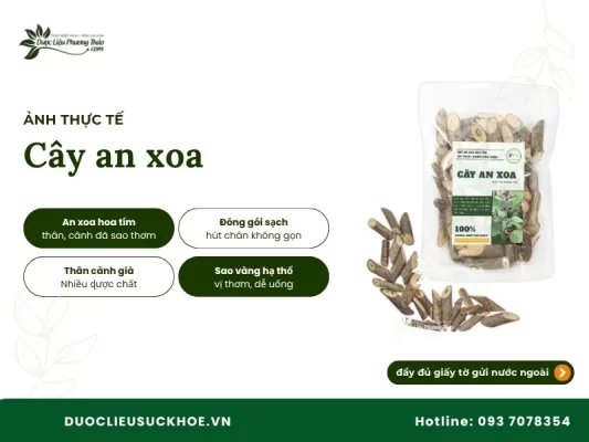 Đặc điểm cây an xoa gói 1kg sấy khô