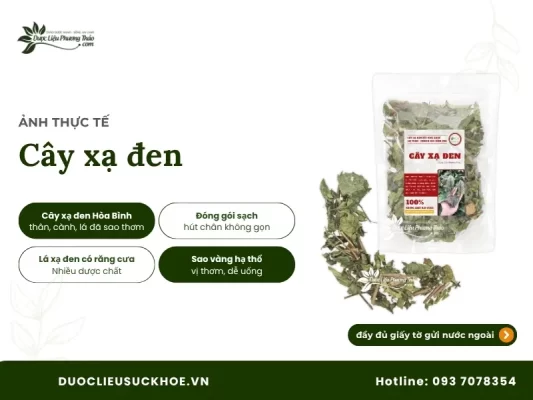 Ảnh thực tế cây xạ đen