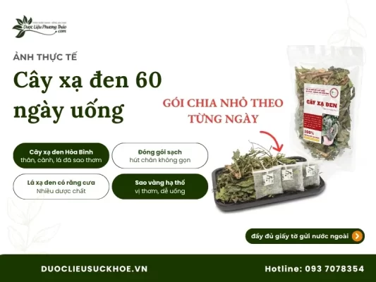 Ảnh thực tế cây xạ đen 60 ngày uống