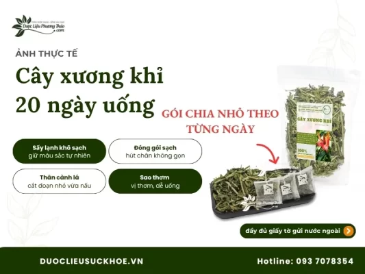 Ảnh thực tế cây xương khỉ 20 ngày uống
