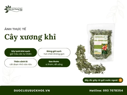 Ảnh thực tế cây xương khỉ