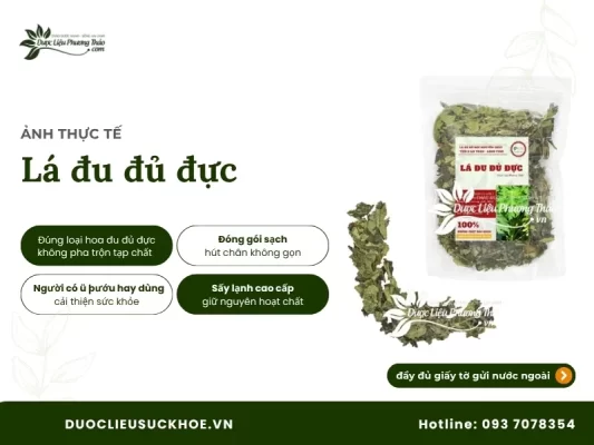 Ảnh thực tế lá đu đủ đực