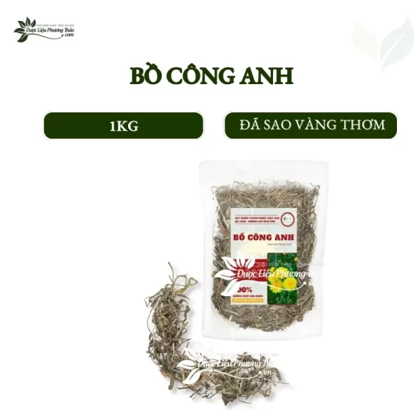 Bồ công anh
