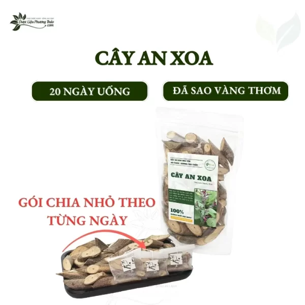 Cây an xoa 20 ngày uống