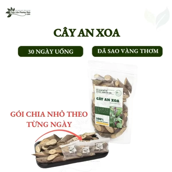 Cây an xoa 30 ngày uống