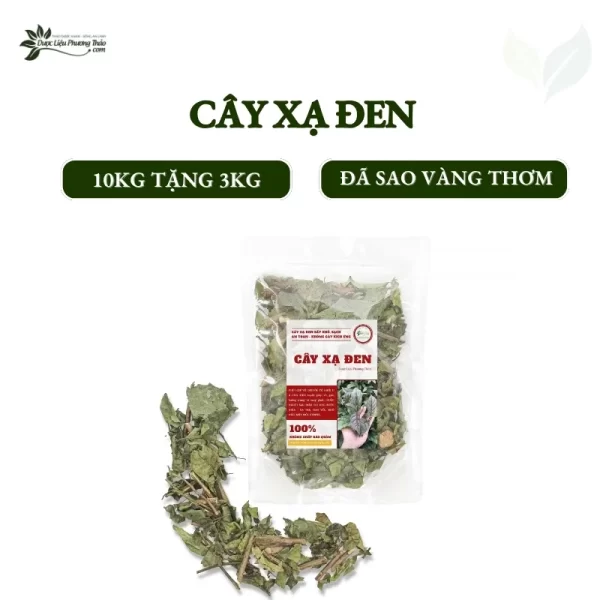 Cây xạ đen mua 10kg tặng 3kg