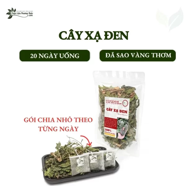 Ảnh cây xạ đen 20 ngày uống