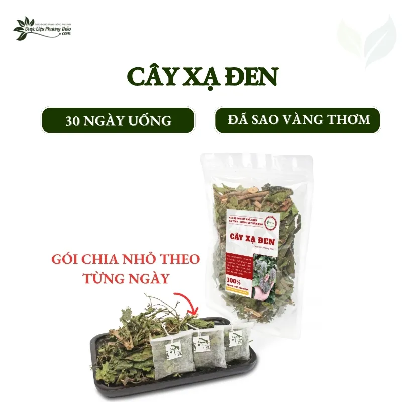 Cây xạ đen 30 ngày uống