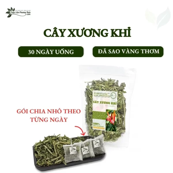 Cây xương khỉ 30 ngày uống