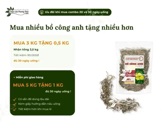 Chương trình khuyến mãi bồ công anh