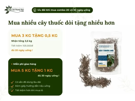 Chương trình khuyến mãi cây thuốc dòi