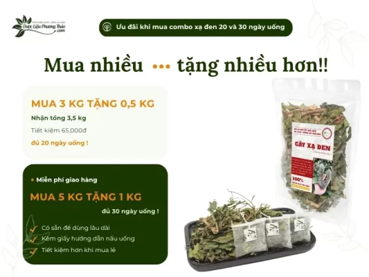 Chương trình khuyến mãi mua cây xạ đen