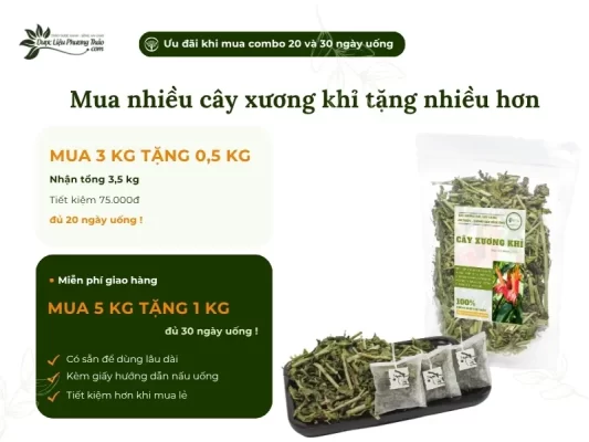 Chương trình khuyến mãi mua cây xương khỉ