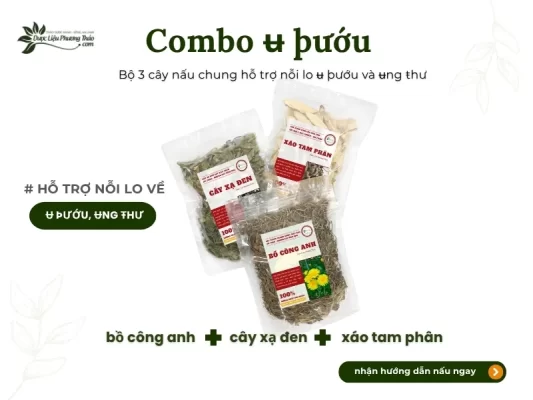 Combo sử dụng cây xạ đen