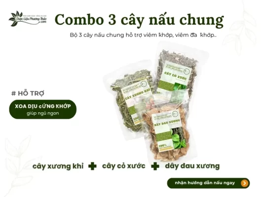 Combo nấu chung cây xương khỉ