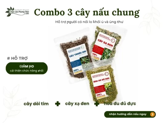 Combo nấu chung hoa đu đủ đực
