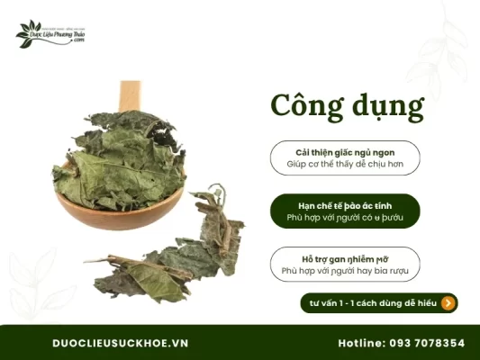 Công dụng cây xạ đen