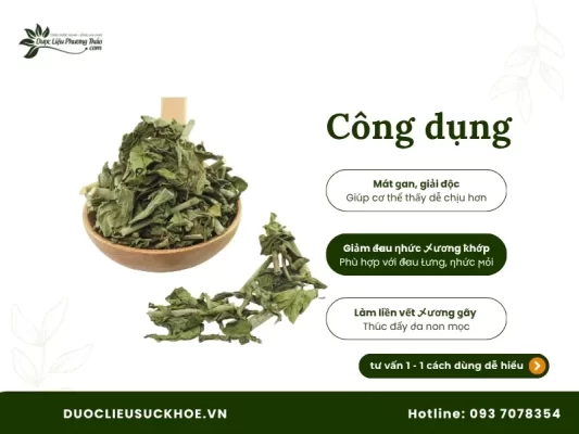 Công dụng cây xương khỉ