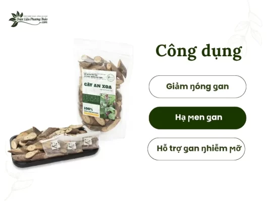 Công dụng của cây an xoa