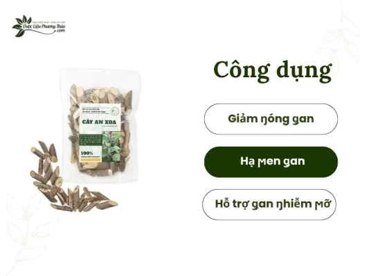 Công dụng của cây an xoa
