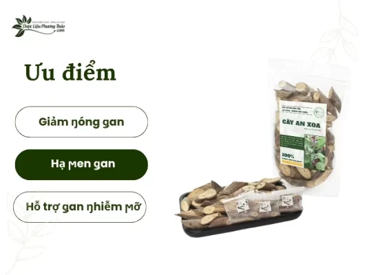 Công dụng của cây an xoa