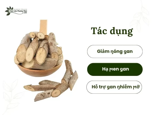 Công dụng cây an xoa