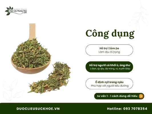 Công dụng hoa đu đủ đực