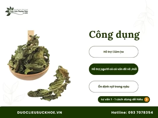 Công dụng lá đu đủ đực