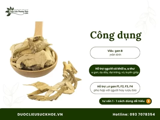 Công dụng xáo tam phân nguyên rễ loại 1