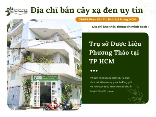 Dược Liệu Phương Thảo địa chỉ cung cấp cây xạ đen uy tín