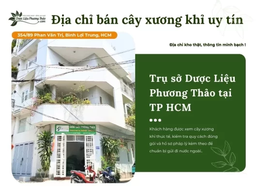 Dược Liệu Phương Thảo địa chỉ cung cấp cây xương khỉ uy tín