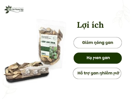 Lợi ích của cây an xoa