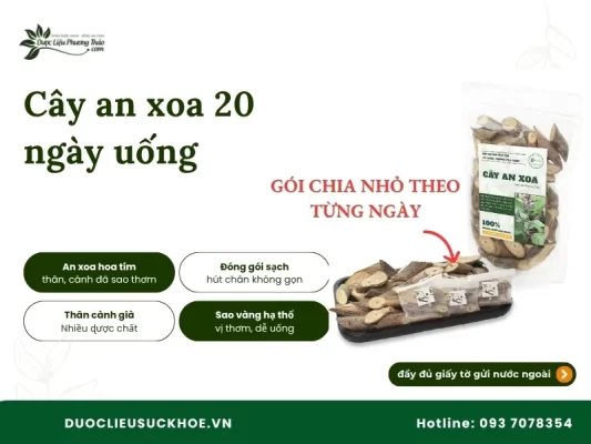 Trà cây an xoa 20 ngày uống