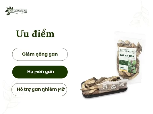 Ưu điểm của cây an xoa 7 ngày uống