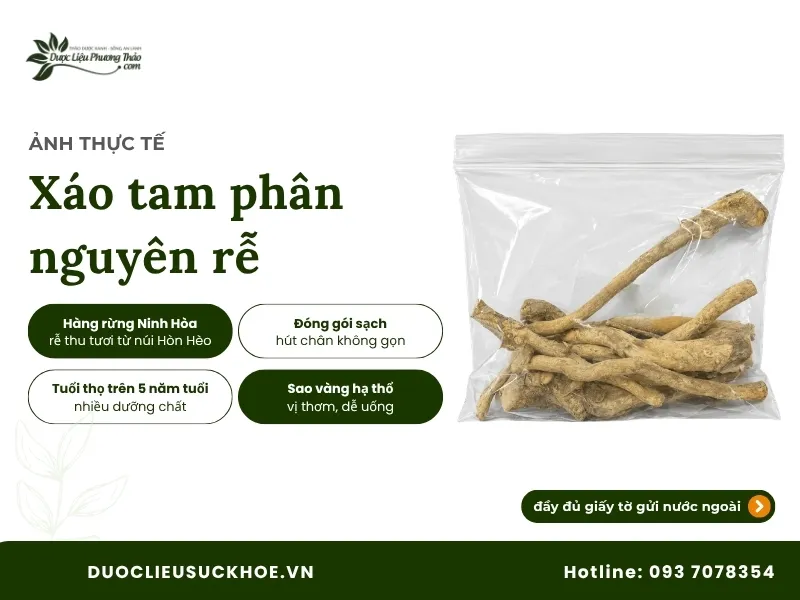 Ảnh thực tế xáo tam phân nguyên rễ