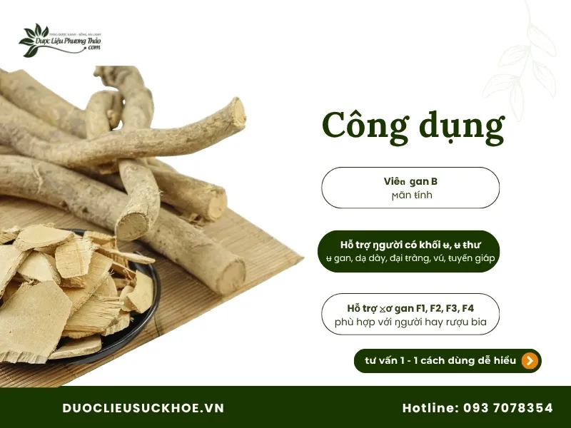 Công dụng xáo tam phân nguyên rễ
